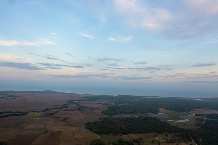 Standing up to the heat